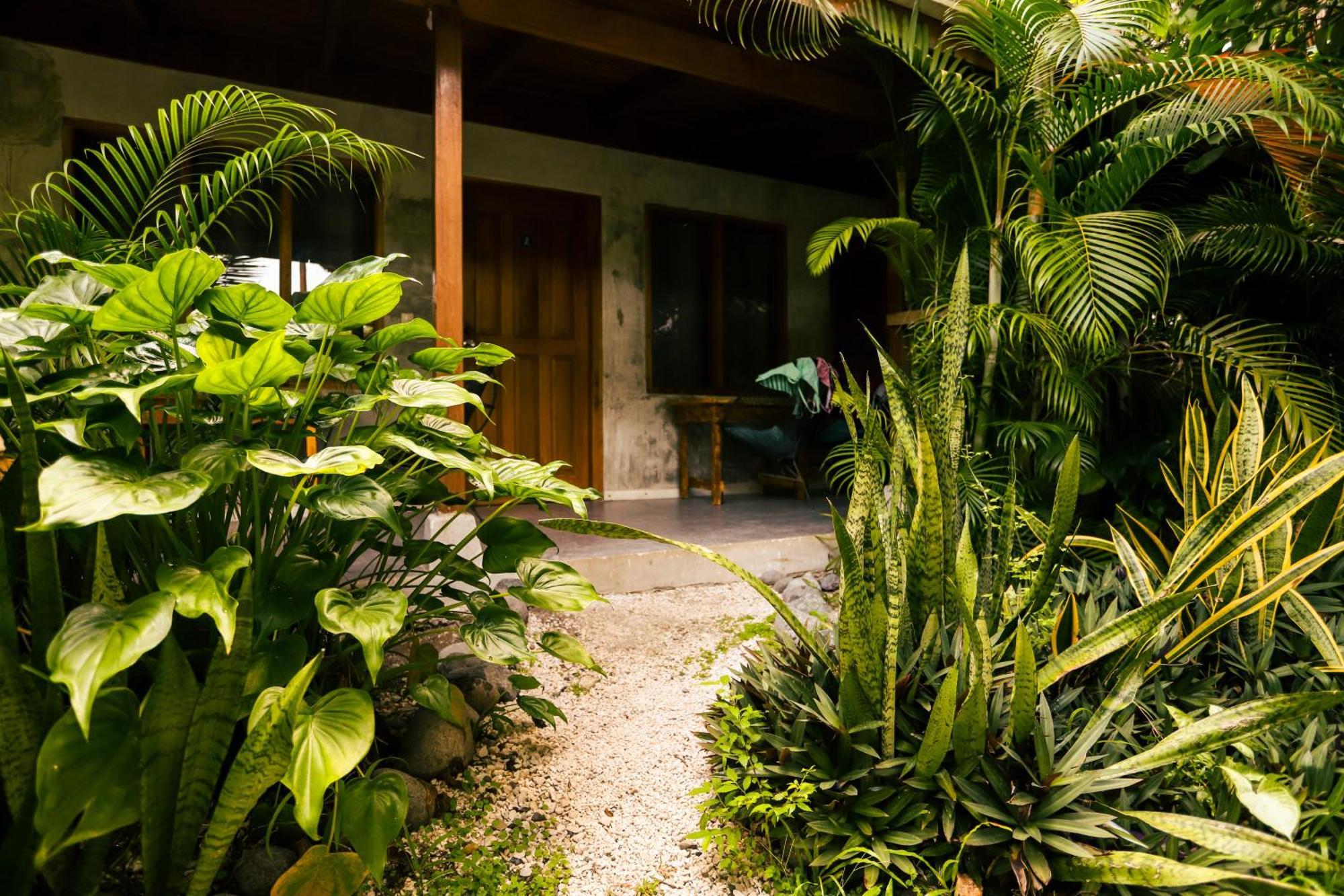 Auberge de jeunesse Cabinas Playa Surf Playa Santa Teresa (Puntarenas)